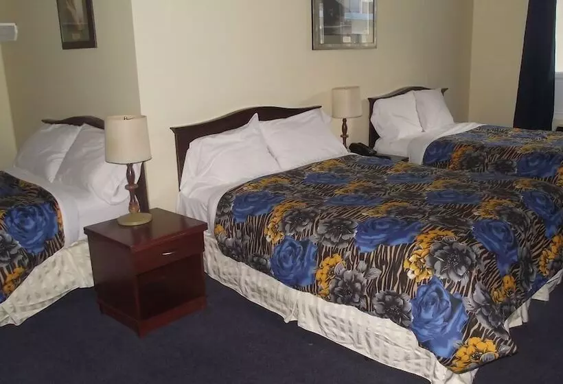 Fotos del hotel Empress Inn And Suites By The Falls:  7