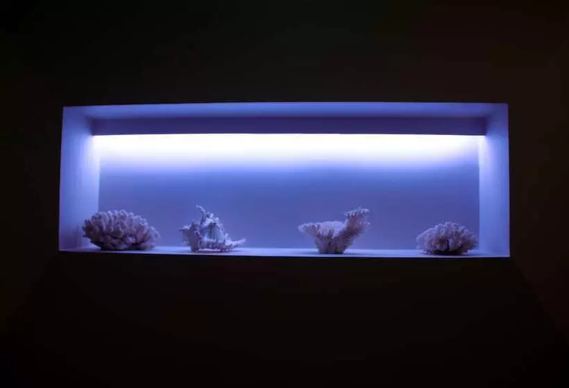 Fotos del hotel Aqua Ria Boutique:  3