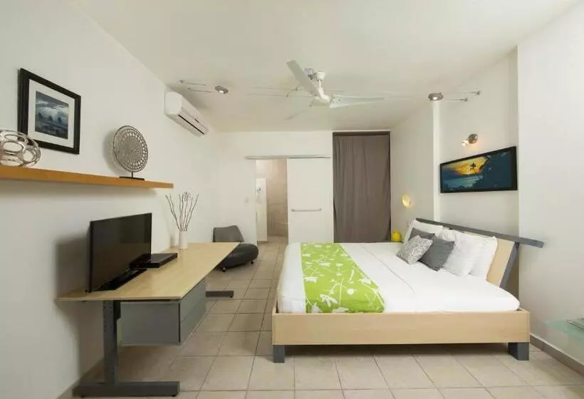 Fotos del hotel Casa Verde:  14