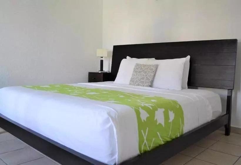 Fotos del hotel Casa Verde:  15