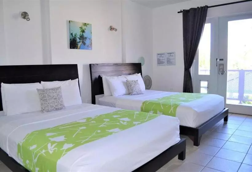 Fotos del hotel Casa Verde:  19