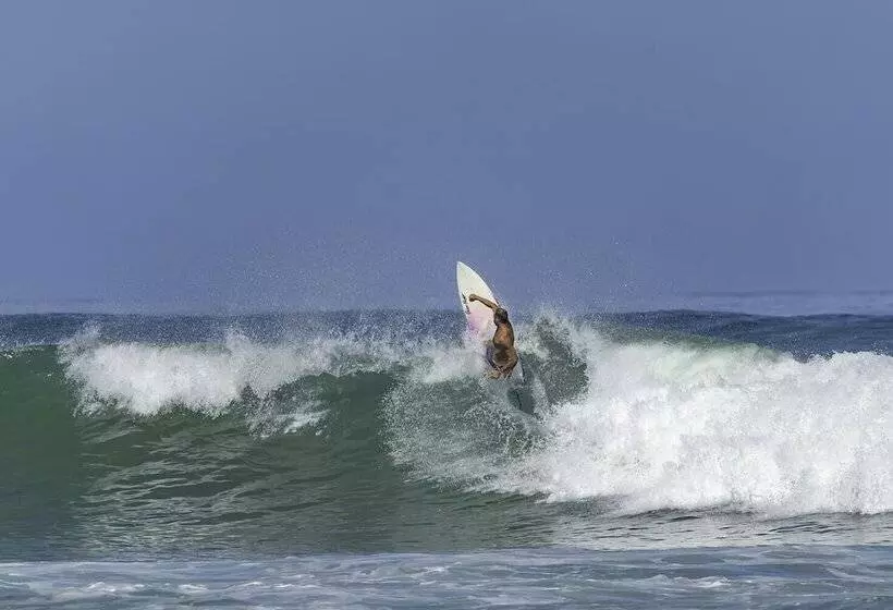 Fotos del hotel Casa Verde:  5