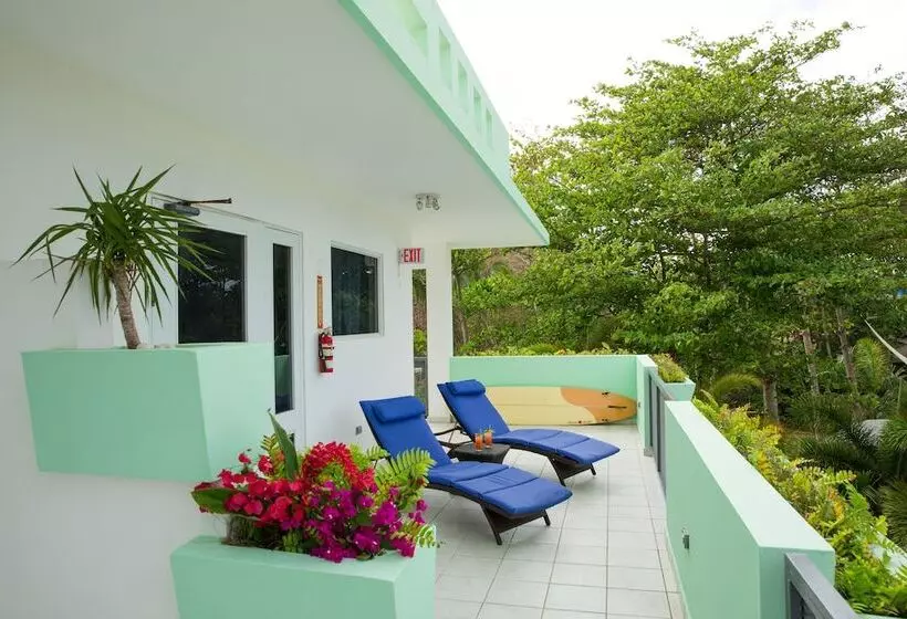 Fotos del hotel Casa Verde:  8