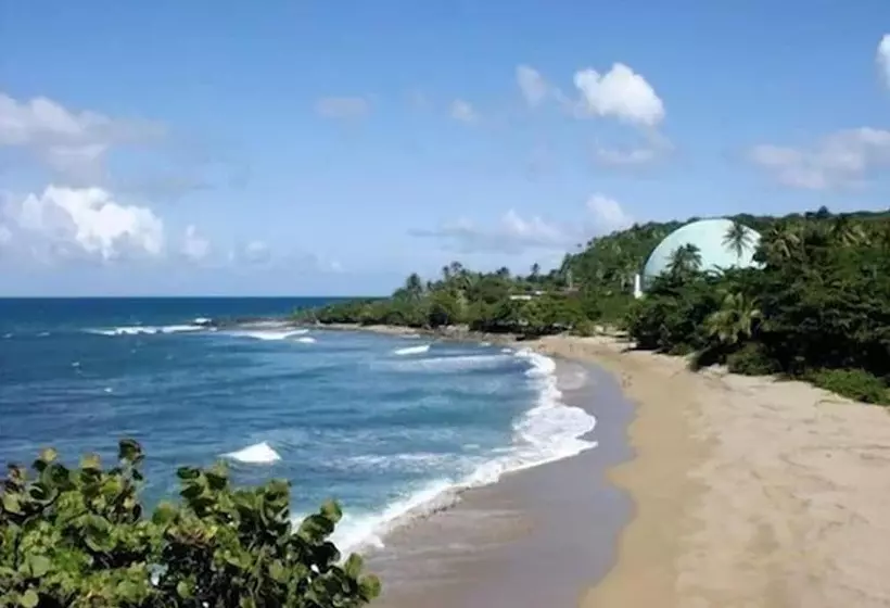 Fotos del hotel Casa Verde:  6