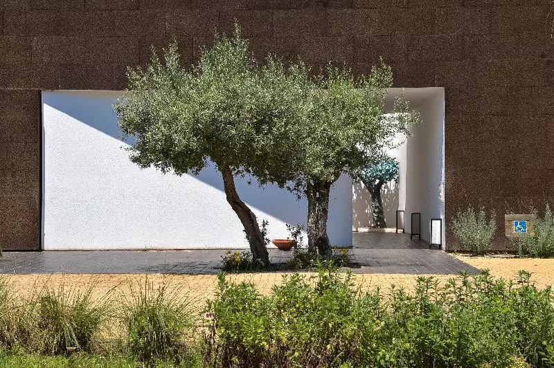 Fotos del hotel Ecorkhotel Evora:  25