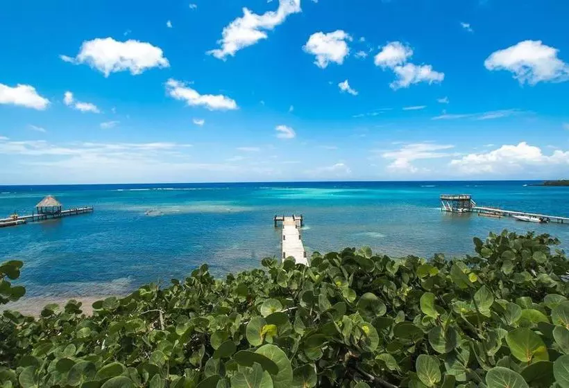 Fotos del hotel Mayoka Lodge:  13