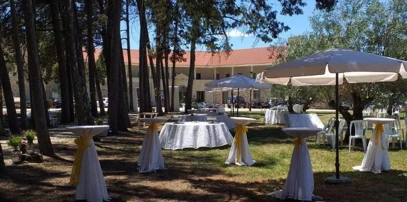 Fotos del hotel Palace  & Spa Termas De São Tiago:  14