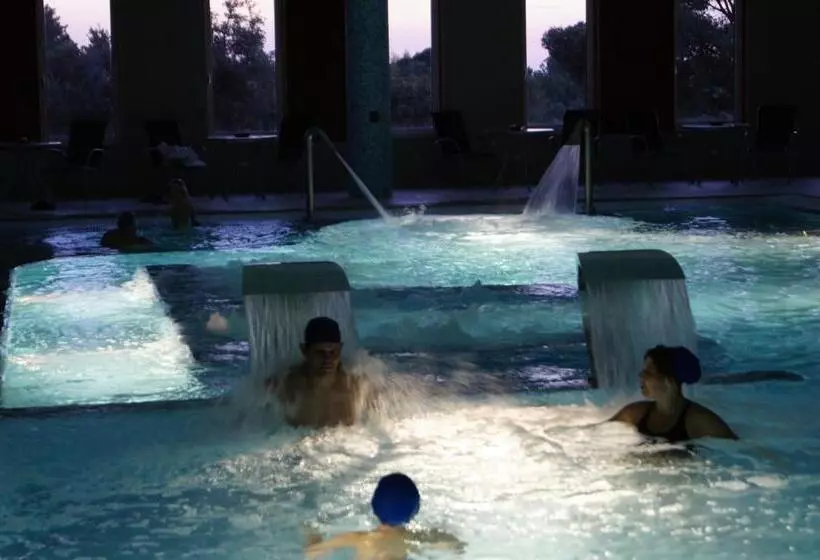 Fotos del hotel Palace  & Spa Termas De São Tiago:  12