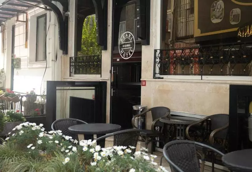 Fotos del hotel Pearl Hotel Istanbul:  18