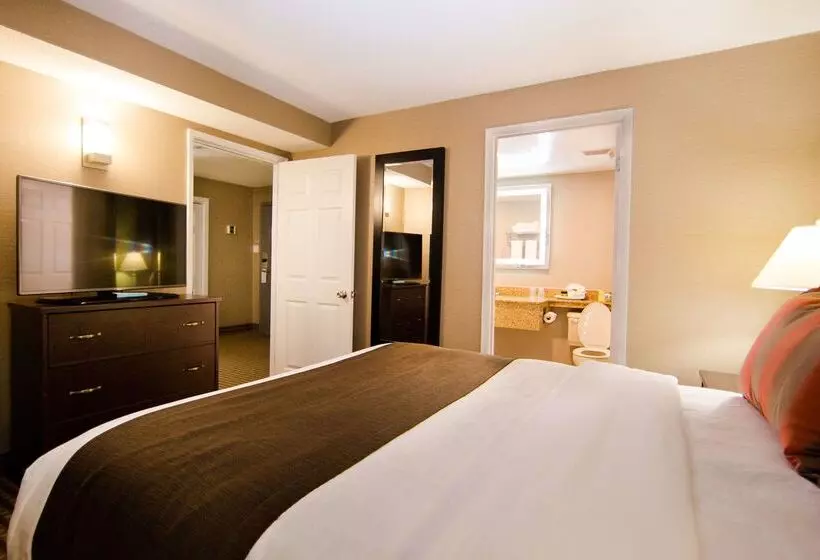 Fotos del hotel Best Western Plus Ottawa Kanata Hotel And Conference Centre:  17