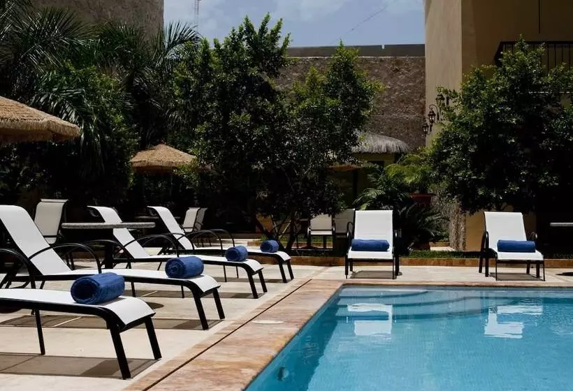 Fotos del hotel Mansión Mérida   Restaurant:  11