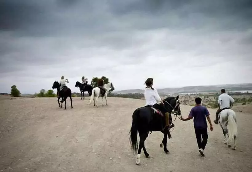 Fotos del hotel Tigmi:  8