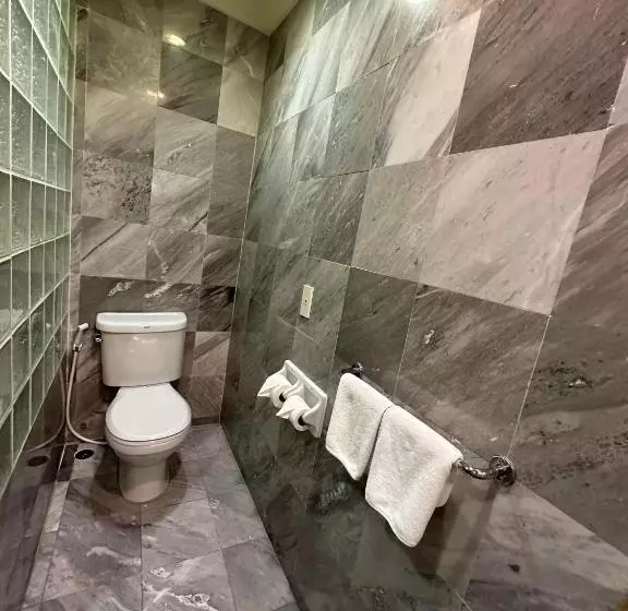 Fotos del hotel Copa:  11