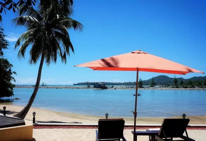 Fotos del hotel Cyana Beach Resort:  11