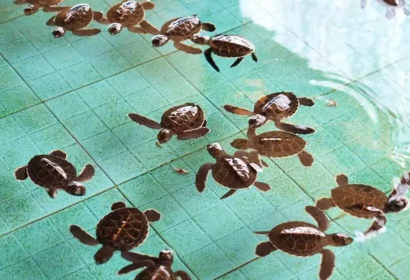 Fotos del hotel Good Heart Resort:  6