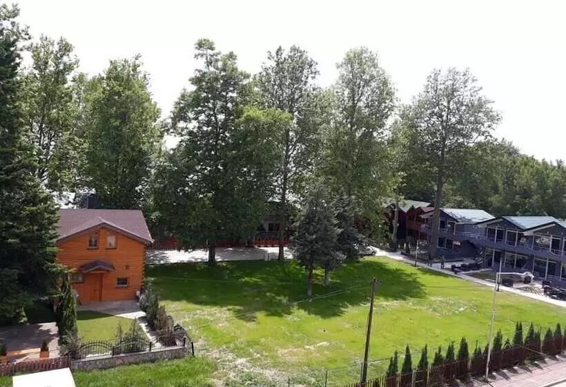 Fotos del hotel Mizo:  9