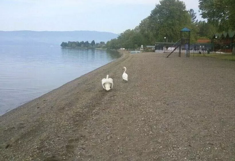 Fotos del hotel Mizo:  14