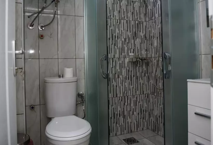 Fotos del hotel Mizo:  8