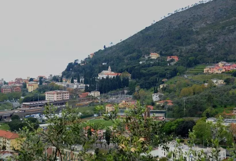 Fotos del hotel Park  Argento:  11