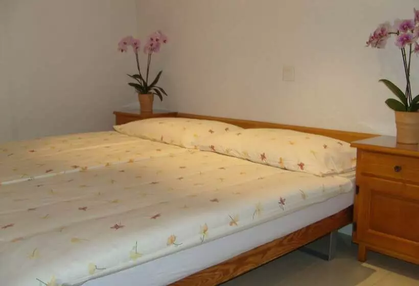 Fotos del hotel Vista Resort:  9