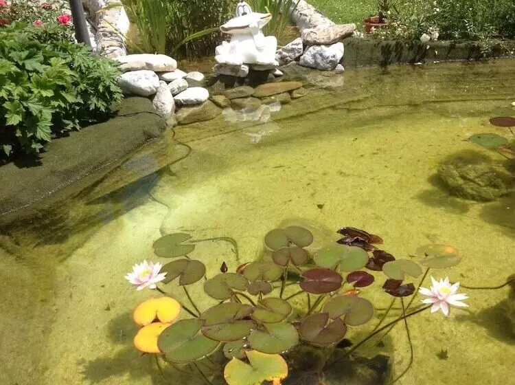 Fotos del hotel Vista Resort:  12