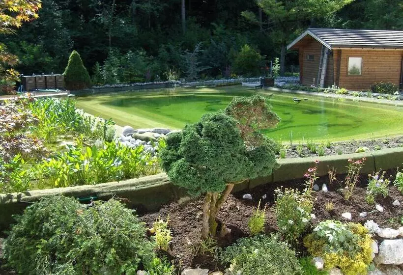 Fotos del hotel Vista Resort:  16