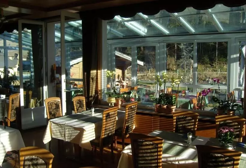 Fotos del hotel Vista Resort:  25