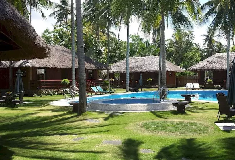 Fotos del hotel Dream Native Resort:  17