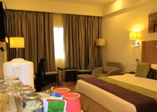 Fotos del hotel Manasarovar  The Fern:  14