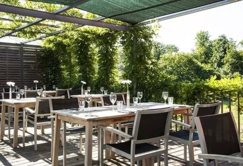 Fotos del hotel Simon S Plaza:  6