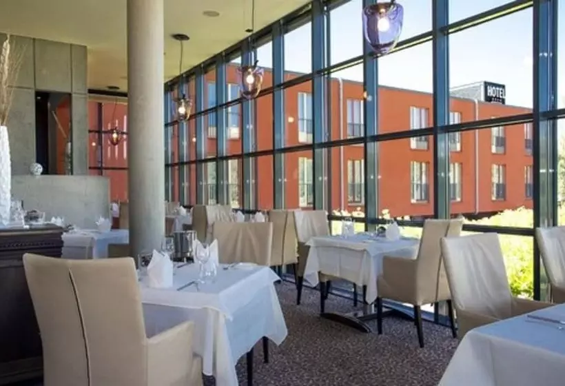 Fotos del hotel Simon S Plaza:  13