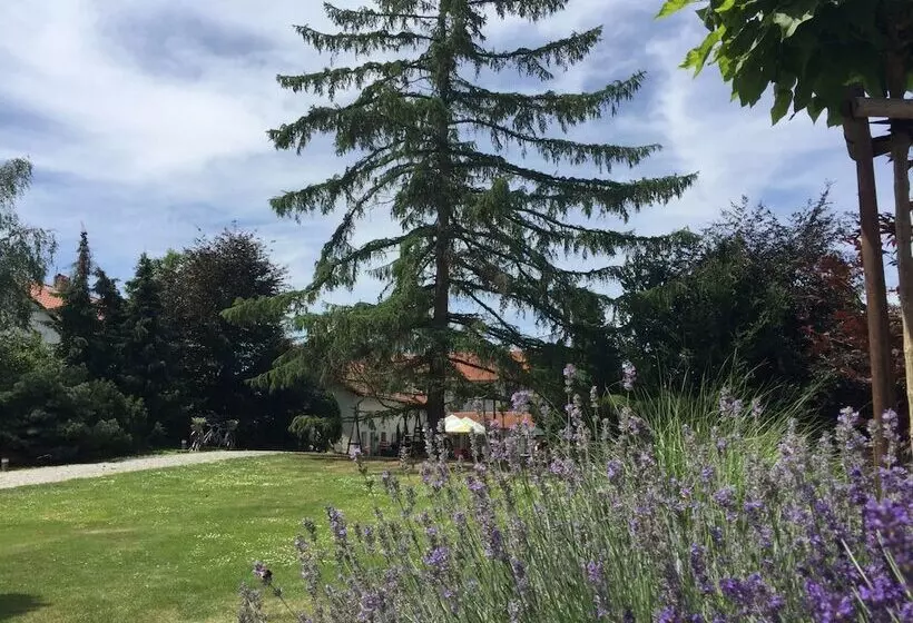 Fotos del hotel Alt Pension:  13