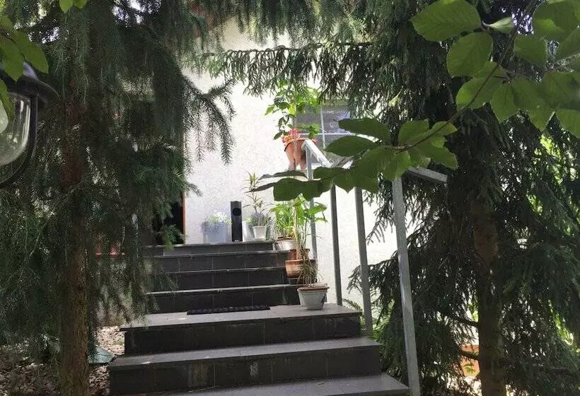 Fotos del hotel Alt Pension:  15