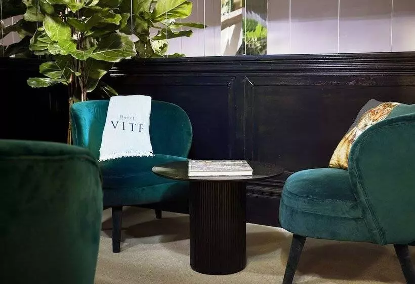 Fotos del hotel Infinity:  5