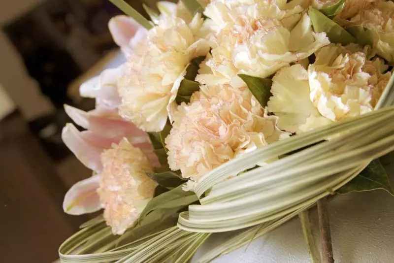 Fotos del hotel Oracle Hotel And Residences:  7