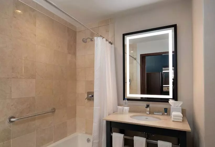 Fotos del hotel Four Points By Sheraton:  13