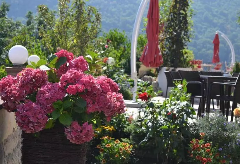 Fotos del hotel Pension Casa Cranta:  20