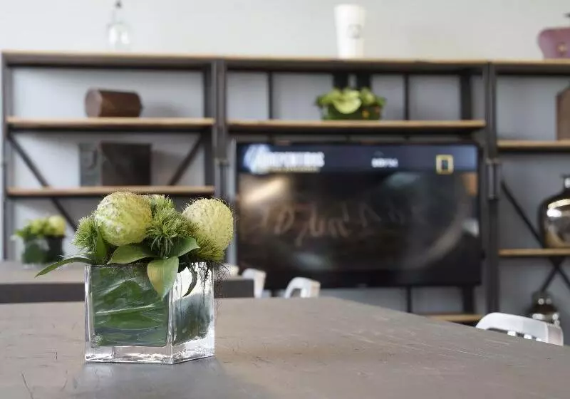 Fotos del hotel City Express Plus Patio Universidad:  8