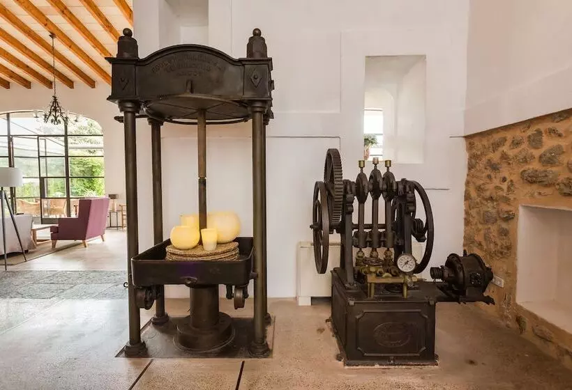 Fotos del hotel Ca'l Bisbe:  7