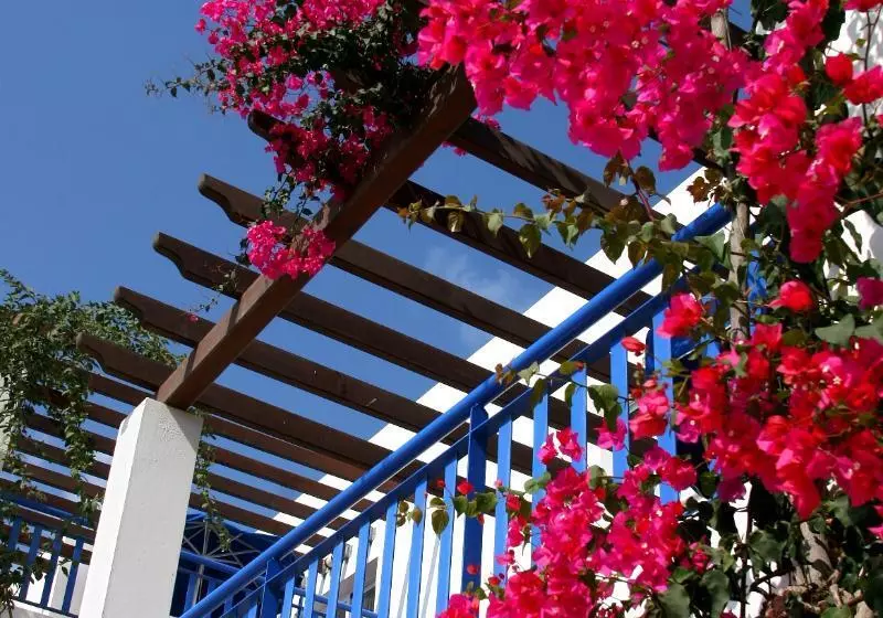 Fotos del hotel Aliathon Ionian:  6