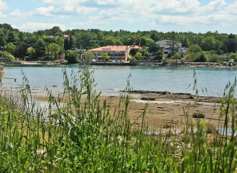 Fotos del hotel Zlatna Vala:  11