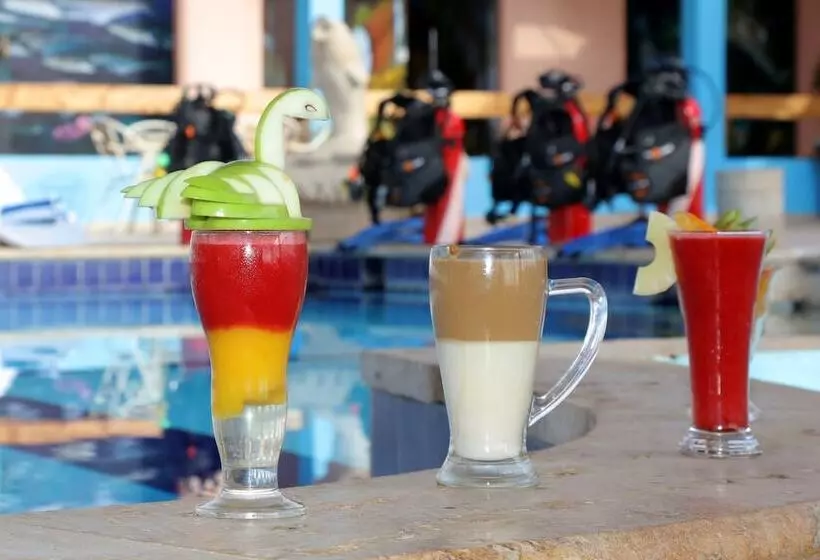 Fotos del hotel Aqaba Adventure Divers Village:  13