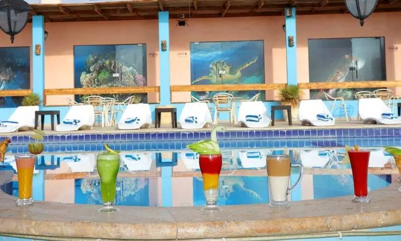 Fotos del hotel Aqaba Adventure Divers Village:  6