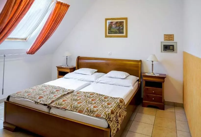 Fotos del hotel Kata Panzió:  16