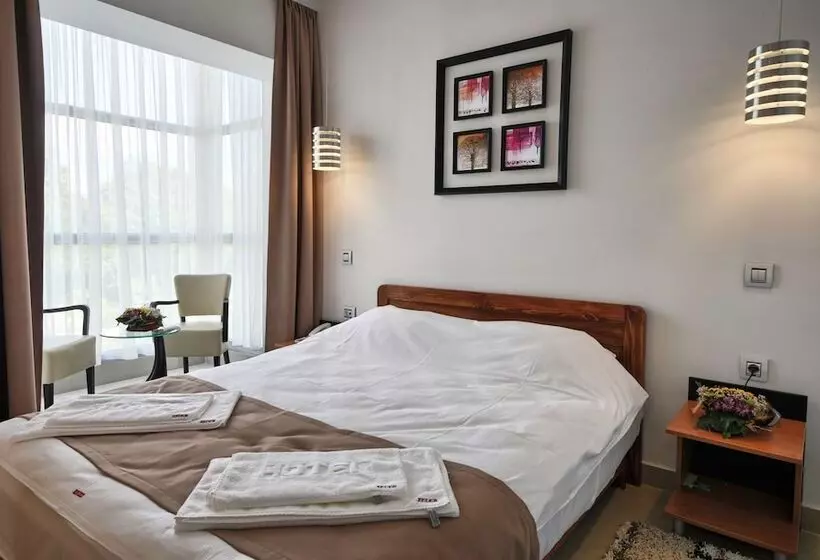 Fotos del hotel Zeder Garni:  19