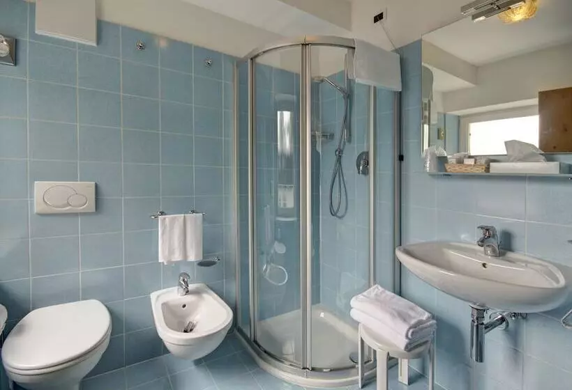 Fotos del hotel Des Alpes:  6