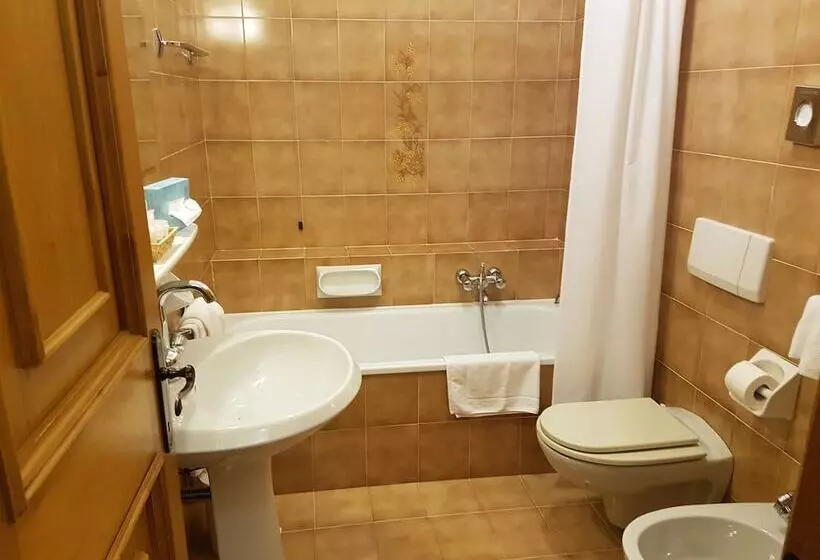 Fotos del hotel Des Alpes:  11