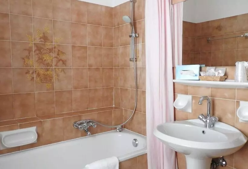 Fotos del hotel Des Alpes:  21