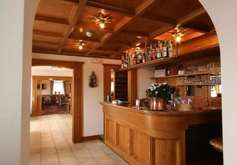 Fotos del hotel Des Alpes:  18