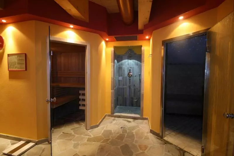 Fotos del hotel Des Alpes:  20